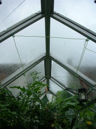Insulated greenhouse